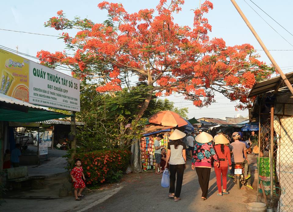 Những khoảnh khắc đẹp nao lòng của Mekong Delta Marathon 2019 Những khoảnh khắc đẹp nao lòng của Mekong Delta Marathon 2019